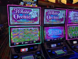 magnum96 Nikmati Sweet Bonanza 1000 di magnum96, platform slot & live kasino yang khusus untuk Malaysia